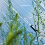 El poder brillante del futuro: placas solares como fuente de energía sostenible